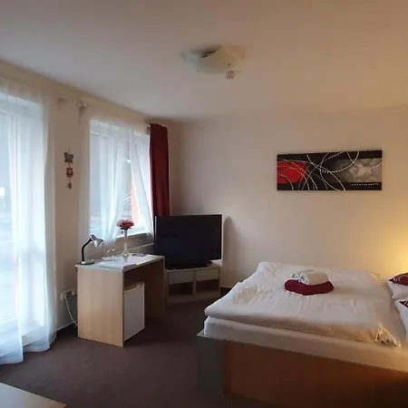 Pensjonat Amfik Bukovina 3*