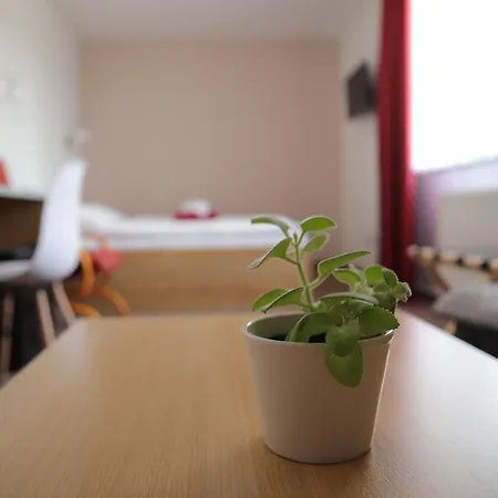 Vendégház Amfik Bukovina 3*