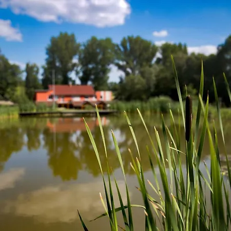 Amfik Bukovina Гостевой дом 3*