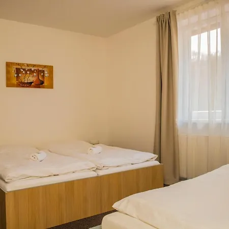 Amfik Bukovina Гостевой дом Popovice (Zlin)