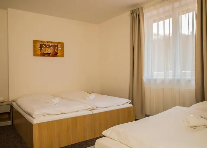 Amfik Bukovina ゲストハウス Popovice (Zlin)